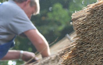 professional Nybster thatchers