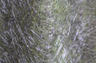 Nybster fibreglass roof work